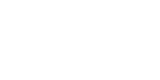 Make It Simple Logo